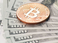 Британец случайно выкинул диск с 7500 биткоинами. Власти запрещают его искать