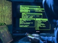 Последствия кибератаки: у украинцев перестали отображаться данные страховки авто