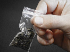 Оборот 230 тысяч в месяц: полиция разоблачила интернет-магазин по продаже наркотиков