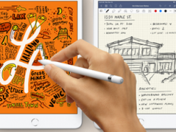 Разборка iPad mini 5 рассекретила все характеристики планшета