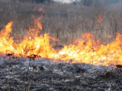 Траву не обов'язково курити: українські рятувальники потролили російських