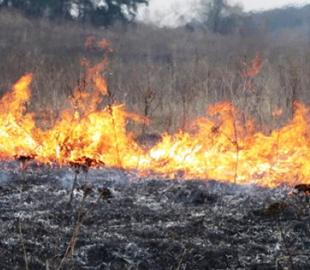 Траву не обов'язково курити: українські рятувальники потролили російських