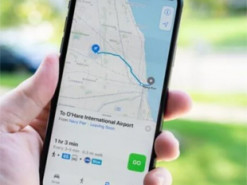 Apple показала, в каких странах лучше всего соблюдают карантин