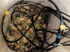 Конфликтом между Укртелекомом и провайдерами займутся народные депутаты