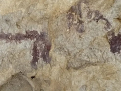 Турист пошкодив 6000-річний наскельний живопис заради селфі