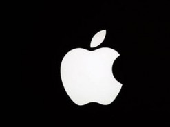 Сколько докторов работают в штате Apple и чем они занимаются?