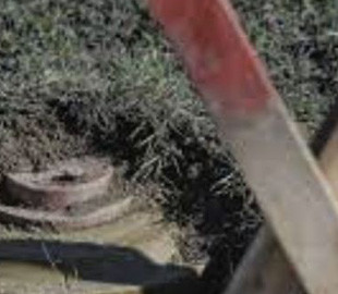 Стала жертвою «сюрпризу» від російських військових: під Харковом жінка випасала кіз і наступила на міну рф