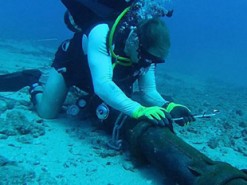 Интернет-кабели между континентами будут следить за землетрясениями