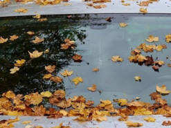 Apple разработала новую технологию для автовладельцев