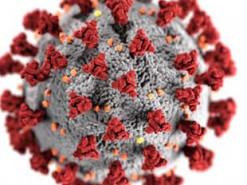 Правительство США хочет, чтобы искусственный интеллект дал ответы по COVID-19