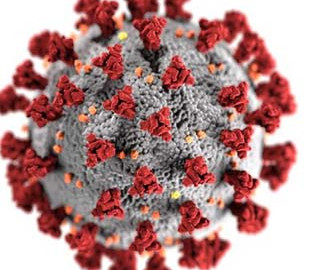 Правительство США хочет, чтобы искусственный интеллект дал ответы по COVID-19