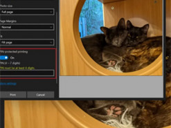 Корисна функція з Windows 11 з’явилася у Windows 10
