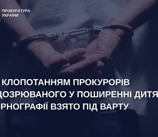На Хмельниччині молодика підозрюють у зберіганні та розповсюдженні дитячої порнографії