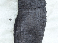 Искусственный интеллект поможет прочитать свитки из дома свекра Юлия Цезаря