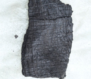 Искусственный интеллект поможет прочитать свитки из дома свекра Юлия Цезаря