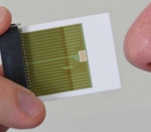 Немецкие ученые создали «электронный нос», который можно встроить в любой смартфон