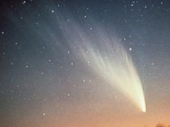 У кометы Neowise появился собственный твиттер