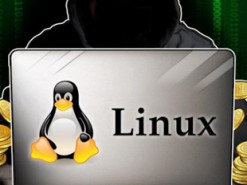 Китайские киберпреступники нацелились на Linux-серверы
