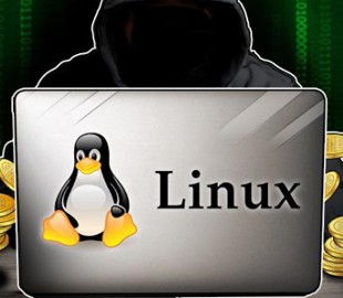 Китайские киберпреступники нацелились на Linux-серверы