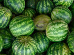 Шахраї ошукали покупця кавунів з Острога на майже 100 тис. грн