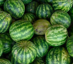 Шахраї ошукали покупця кавунів з Острога на майже 100 тис. грн