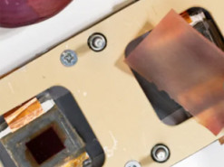 Цибуля замість нафти: вчені зробили інноваційну плівку для поліпшення сонячних панелей