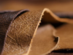 Создали экологическую искусственную кожу, которую можно печатать на 3D-принтере