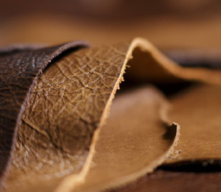 Создали экологическую искусственную кожу, которую можно печатать на 3D-принтере