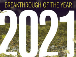 Журнал Science назвал главные научные открытия года