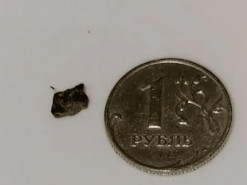 Поранений рогозін передав Макрону уламок "з хребта": мережа вибухнула жартами