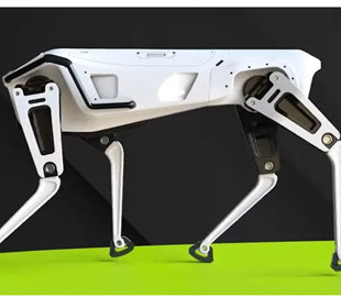 Роботи-собаки за $200 тисяч: чому дата-центри масово переходять на автоматизовану охорону