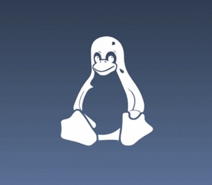 В ядре Linux появилась новая возможность отключить защиту от Spectre