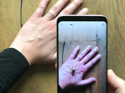 Смартфон позволяет бороться с боязнью пауков