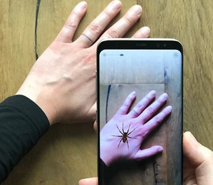 Смартфон позволяет бороться с боязнью пауков