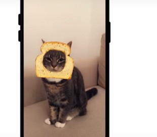 В Snapchat появились фильтры для котиков. Все в восторге, коты не оценили