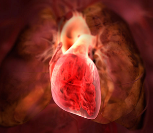 Создана первая в истории трёхмерная карта нейронов сердца