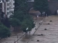 В Шотландии пес помогал хозяйке вытащить машину из воды и стал героем Сети