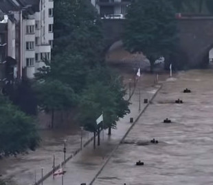 В Шотландии пес помогал хозяйке вытащить машину из воды и стал героем Сети