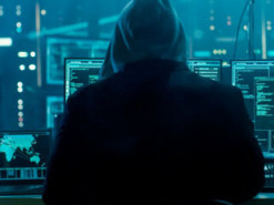 В Украине сбой в выдаче электронных полисов автогражданки: что делать водителям