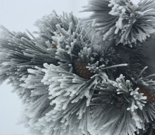В соцсетях публикуют фото и видео первого снега на Ай-Петри
