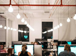 Фрайберуфлери, ІТ-спеціалісти й не тільки: 10 найбільш затребуваних професій в Німеччині