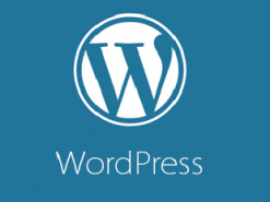 На сайты под управлением WordPress обрушился шквал атак