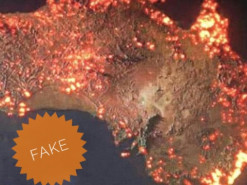 Соцсети способствуют распространению фейков о пожарах в Австралии 