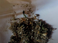 Поліцейські затримали чоловіка, який розповсюджував наркотики через закладки