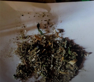 Поліцейські затримали чоловіка, який розповсюджував наркотики через закладки