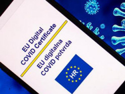 В правительстве объяснили заминку с признанием украинских COVID-сертификатов в ЕС