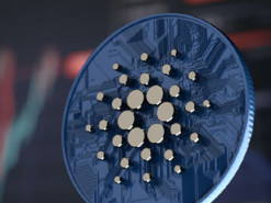 Американец назвал первенца в честь блокчейна