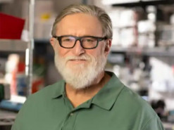 Творець Half-Life Гейб Ньюелл придбав одного з провідних виробників супер'яхт