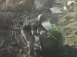 Український робот "Воля-Е" врятував сотню поранених: у Мінцифри розкрили, як він працює