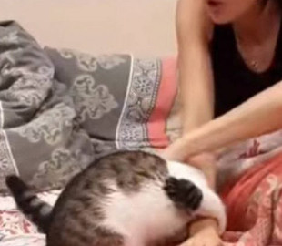 Кот удивил девушку и порадовал пользователей Сети